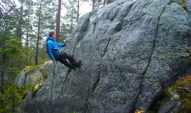 Выживание в дикой природе